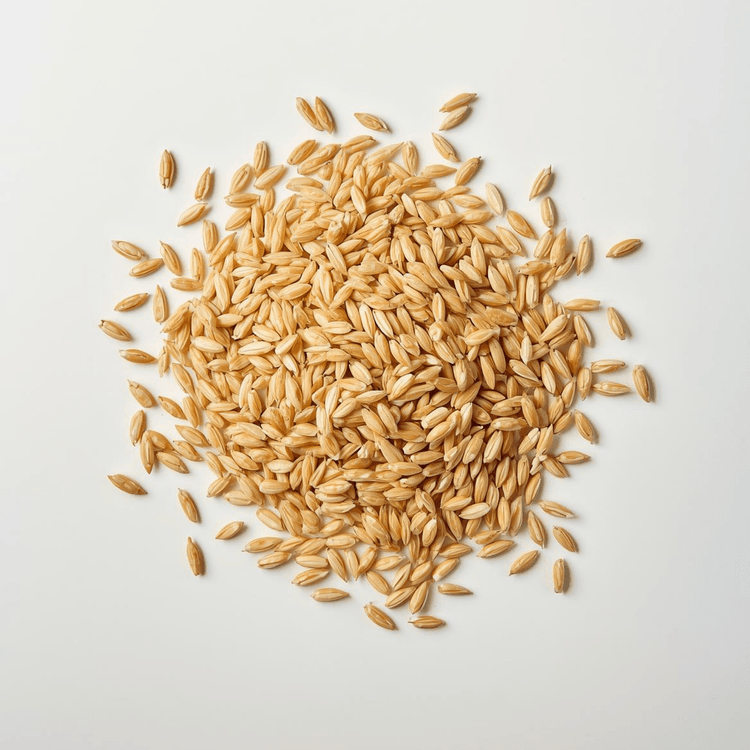 FRNASA 植萃精華按摩油核心成分：米糠醇，具備優異的抗氧化防護力，能幫助延緩肌膚老化並維持彈潤緊緻。