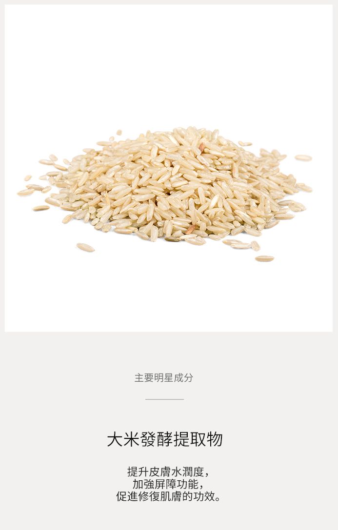 大米發酵提取物